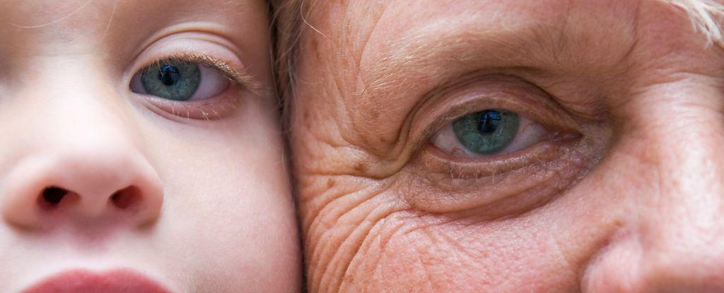 Studies reveal turning points when life's life accelerates: