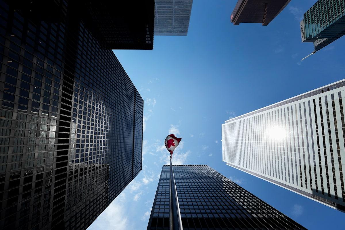 U.S. trade tensions lead to already low business creation in Canada - Earth and ...
