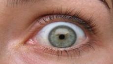 The worm invaded the eyeball and makes the doctors suck his eye in yellow - ars technica