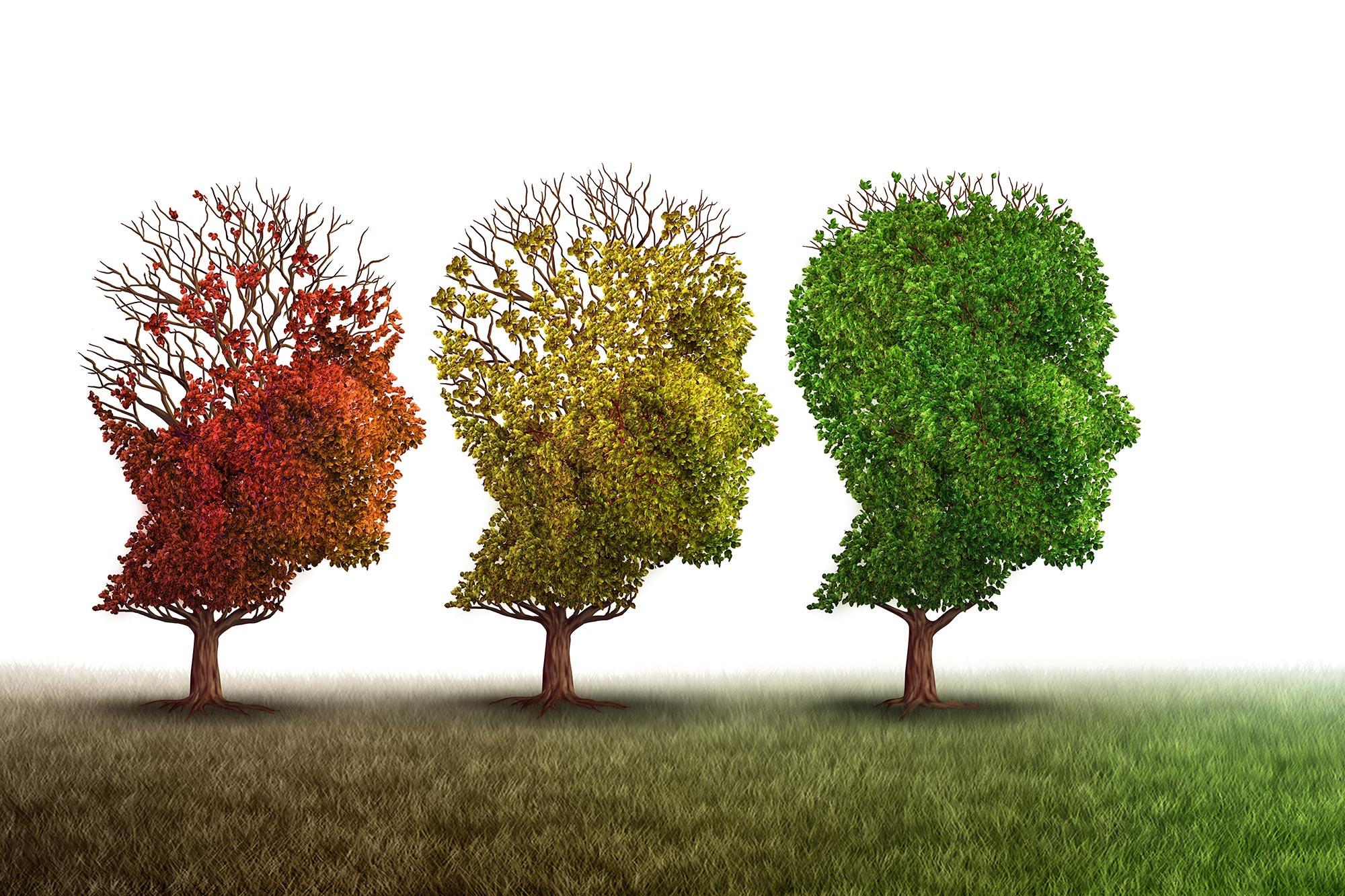 Blocking this protein restores brain aging