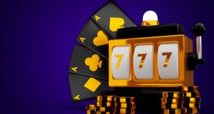 types of online slot players